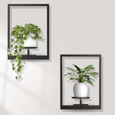 Imagem de Xtsuen Porta-retrato para parede para plantas, pacote com 2 prateleiras para janela, moldura de parede de metal