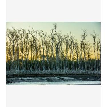 Imagem de Silêncio Infinito 24 - Amazart