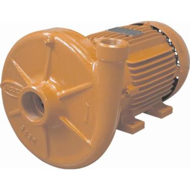 Imagem de Bomba monoestagio jacuzzi 1dh1.1/2   1cv trifasica 220/380v, U