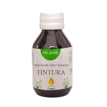 Imagem de Tintura de Melão de São Caetano 100ml - Palmar