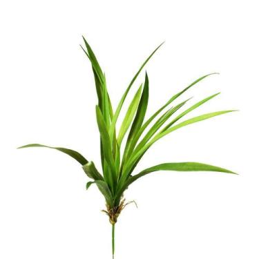 Imagem de Folhagem Agave Flor Arte X19 Verde 46cm