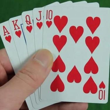 Imagem de Jogos De Baralho Duplo Resistente Lavável 100% Plástico A200 - Home Go