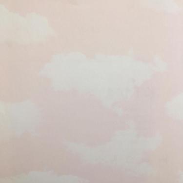 Imagem de Papel De Parede All Kids Céu Cor De Rosa H2911303 Rolo 10m X 0,53m