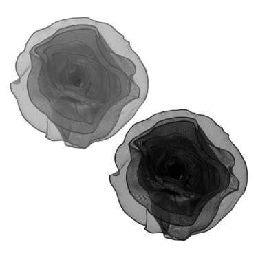 Imagem de PATIKIL Broche de flor de tecido de cetim grande para mulheres broches florais elegantes de organza broches de flores para casamento, dança, festa, roupas, vestido, chapéu, acessórios, Large