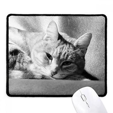 Imagem de Mouse pad com foto de gato cinza puro animal com borda costurada, tapete de borracha para jogos