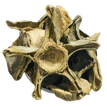 Imagem de Cactos Mandacaru 1Kg (Cereus jamacaru) - Top Life