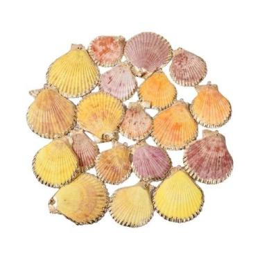 Imagem de Pingentes Espirais De Conchas Perfuradas Coloridas 5 Peças Suprimentos