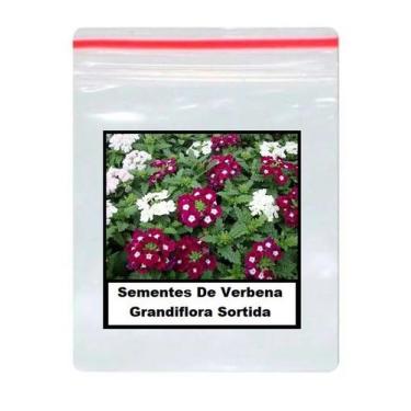 Imagem de 50 Sementes De Verbena Grandiflora Sortida - TOPSEED