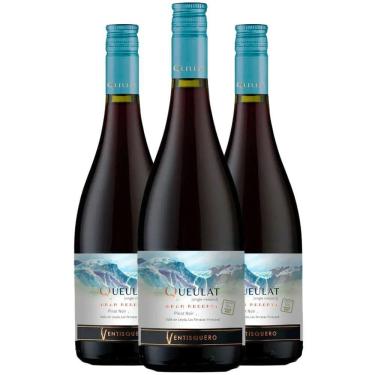 Imagem de Vinho Tinto Ventisquero Queulat Gran Reserva Pinot Noir 750ml (3 Und)