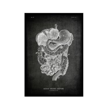 Imagem de Arte vintage de anatomia humana – pintura em tela de educação médica esqueleto humano gaiola cérebro coração anatomia pôster para decoração de casa de clínica hospitalar (SKU10,8x30,5 cm = (20 x 30 cm