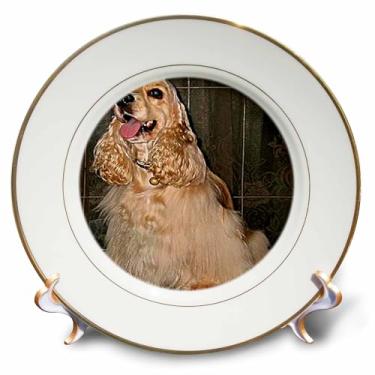 Imagem de 3dRose Cocker Spaniel - prato de porcelana, 20,32 cm, 20,32 cm, branco