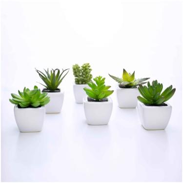 Imagem de Kit 06 Suculentas Artificial Sortida Vaso Branco 6x6 Cm