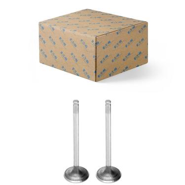 Imagem de Jogo 2 Válvula Escape Volkswagen 8-150  Diesel EATON VS5103