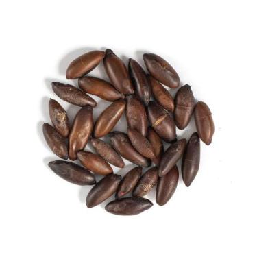 Imagem de Castanha de Baru Torrada Casa Santa Luzia 230g