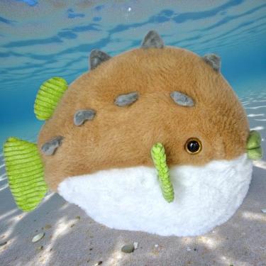 Imagem de Pelúcia Marinha Tubarão Tartaruga Peixe Baiacu Nemo Dory Mar Cor:Baiac