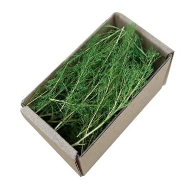 Imagem de kowaku Grama em miniatura realista jardim de fadas terreno fazendo layout de cenário tranin para trens ferroviários mesa de areia cenário ferroviário, Verão Verde