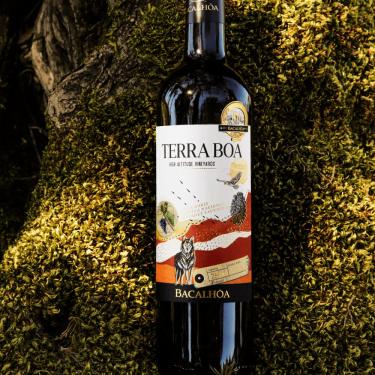 Imagem de Vinho Português Aliança Terra Boa
