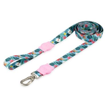 Imagem de Mood Pet Coleira Guia 5 Metros Para Cães Cachorro Adestramento Passeio Porte Grande Médio Pequeno (Sunny Rose, PP)