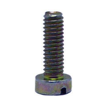 Imagem de Parafuso Fixador Inserto 7500 (Parafuso Fenda M4X12) - Jacto