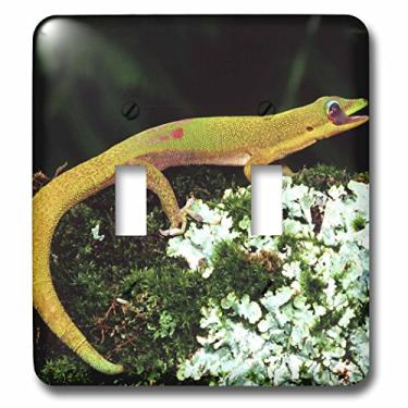 Imagem de 3dRose lsp_83861_2 Gold Dust Day Gecko Lambendo olho lagarto Na02 Dno0254 David Northcott interruptor duplo