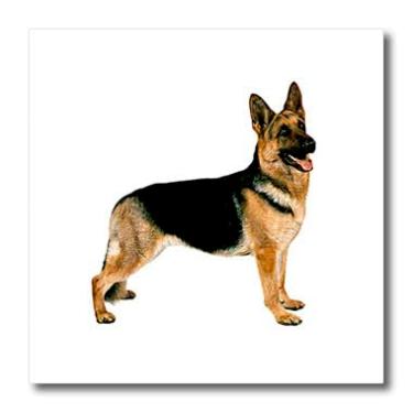 Imagem de 3dRose ht_654_3 Pastor alemão - transferência de calor a ferro, 25,4 cm, multicolorido