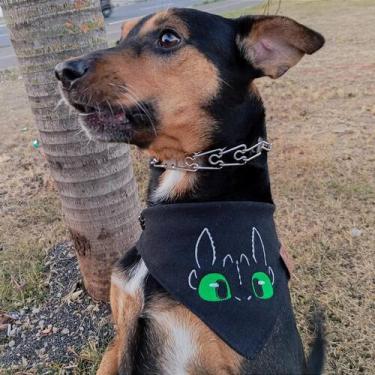Imagem de Bandana Rosto Bangela - Acessório Pet Estiloso para Treinar Seu Dragão