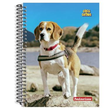 Imagem de Caderno de 10 Matérias Cães e Gatos 160 Folhas Capa Dura - PanAmerican