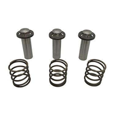 Imagem de Kit Pistão com Mola para Lavadora KARCHER LINHA NOVA KOPP 93033280 93033290