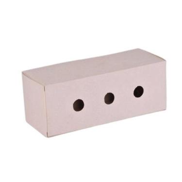 Imagem de Caixa para Transporte Grande Calopsita - Branca - Artesanal