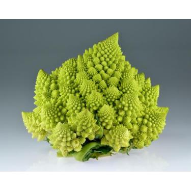 Imagem de Couve Flor Romanesco Kéfera - 600mg de Sementes - Feltrin