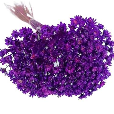 Imagem de Buquê de 300 Florzinhas, Sempre Viva e Mosquitinhos, Decorativo para Casa e Festas(VIOLETA)
