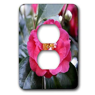 Imagem de 3dRose Tampa de tomada com 2 plugues Flor, Camélia Japônica, Flor, Lsp_4188_6