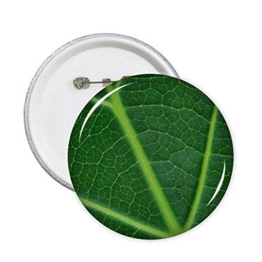 Imagem de Verde escuro planta natureza ilustração padrão alfinetes crachá botão emblema decoração acessório 5 peças