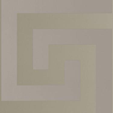 Imagem de Papel De Parede Versace V Geométrico Cinza 386092