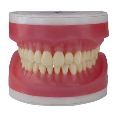 Imagem de Refil de Dentistica para Manequim Articulado AC 103 Pronew