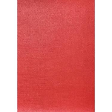 Imagem de Tecido Facto cor Vermelho 1mt x 140cm Não é Segredo