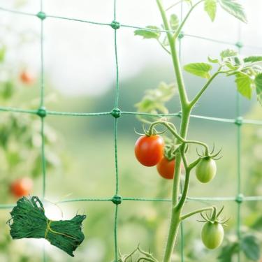 Imagem de Rede de treliça – 2,9 × 1,8 m, plantas de jardim, feijão, legumes, rede de escalada de frutas, suprimentos de jardinagem interna e externa