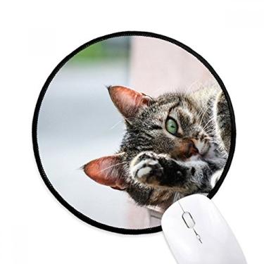 Imagem de DIYthinker Tapete de rato para computador com fotografia de gato de atividade animal tapete redondo para computador