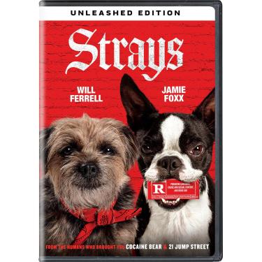 Imagem de Strays (DVD)