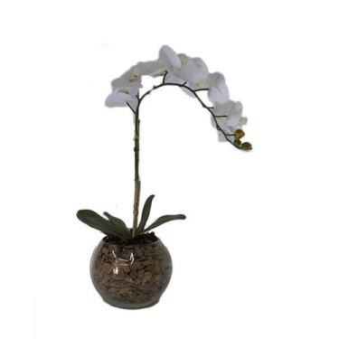 Imagem de Orquídea Branca x1 Vaso Aquário - Biofil