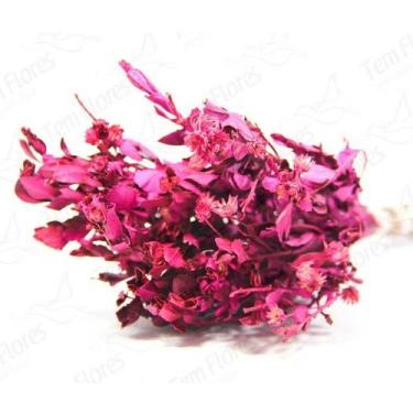 Imagem de Alecrin Pink Desidratado - Pense Flores