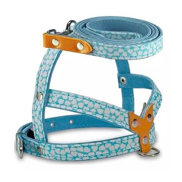 Imagem de Peitoral com Guia AMF Veneza para Cães Azul Bebê - Tamanho 4