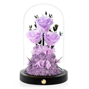 Imagem de Agrul Presentes de rosas de Natal para mãe, rosas preservadas em cúpula de vidro, presentes de aniversário de Natal de Ação de Graças para esposa, namorada, mulheres, melhor amiga, vovó/roxo claro