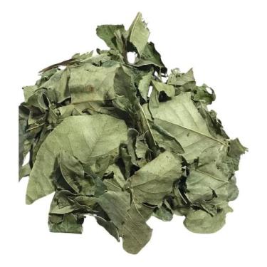 Imagem de Mangaba Folha 500g (Erva Desidratada) - Life Magazine