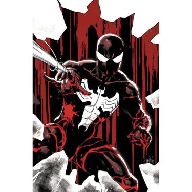 Imagem de Homem-Aranha - Traje Preto e Sangue