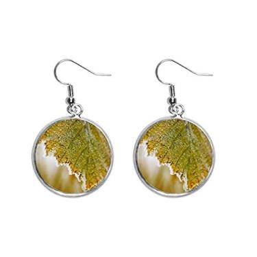 Imagem de Brinco de prata pendente, imagem de planta de folhas macias, brincos pendentes, joia feminina