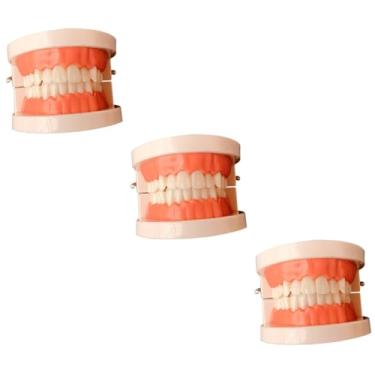 Imagem de ULTECHNOVO 3 Pecas Modelos De Escovação Modelo De Dentes Humanos Cabide De Veado Adesivos De Estrelas Brinquedo Para Crianças Bebê Dentadura De Madeira Material Didáctico