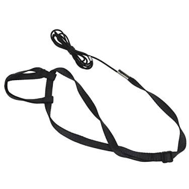 Imagem de GLOGLOW Brinquedos para Animais de Estimação e Palavras -chave do Público -alvo: Birds Pet Birt Birness and Leash, Ajustável Cordão de Tração de Vôo Ao Ar Livre para Grandes Papagaios Pequenos de