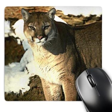 Imagem de 3dRose Mouse pad LLC 20 x 20 x 0,63 cm, Cougar (mp_651_1)