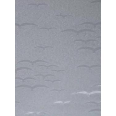 Imagem de Chapa De Acrílico Para Box E Gabinetes 90X98 Revoada Incolor